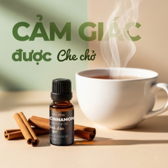 Tinh dầu quế 10ml