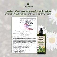 Dầu gội thảo mộc phục hồi Khoẻ Tự Nhiên Herbal Shapoo