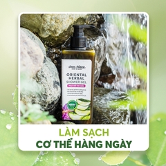 Gel tắm thảo mộc phục hồi thư giãn Oriental Herbal Shower Gel