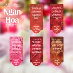 Son Kem Lỳ Ngàn Hoa