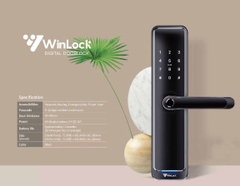 Khoá điện tử Winlock TT - 360W