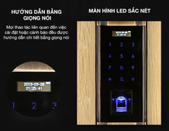 Khóa cửa thông minh Kaadas 6001