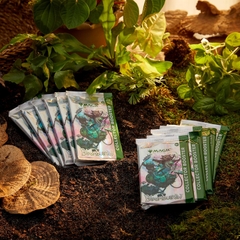 MTG: Bloomburrow Collector Booster Box