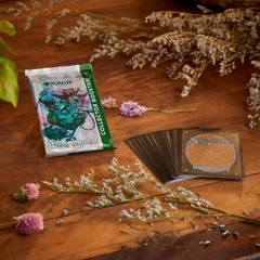 MTG: Bloomburrow Collector Booster Box