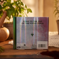 MTG: Bloomburrow Collector Booster Box