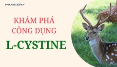 L-Cystine Là Gì? Khám Phá Những Công Dụng Đối Với Sức Khỏe Và Sắc Đẹp L-Cystine Là Gì? Khám Phá Những Công Dụng Đối Với Sức Khỏe Và Sắc Đẹp