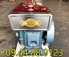 Đầu nổ Diesel ChangLifa D24  S1115 làm mát bằng nước