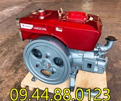 Đầu nổ Diesel ChangLifa D24  S1115 làm mát bằng nước