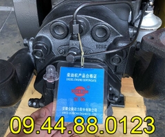 Đầu nổ Diesel QuanTrai D28 S1125 nước