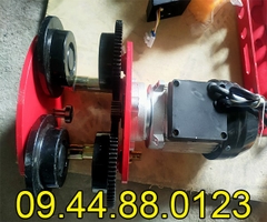 Con chạy điện Kento 500kg 220V