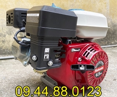 Động cơ xăng Rakuda 6.5HP