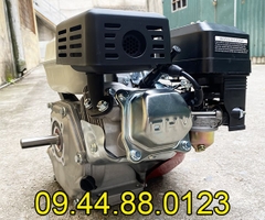 Động cơ xăng Rakuda 6.5HP