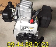 Động cơ xăng Robin EH09 3.0HP