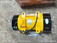 Máy đầm bàn chạy điện Niki 3KW ZW-12 380V