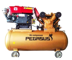 Máy nén khí đầu nổ Pegasus 20HP D24 330L 8 Bar