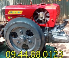 Đầu nổ Diesel Cao Phong D15 S1100NM gió đề