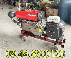 Đầu nổ Diesel ChangFa D24 CF1115 làm mát bằng nước