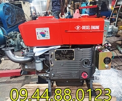 Đầu nổ Diesel Đông Phong D24 S1115M nước đề