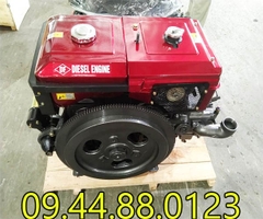 Đầu nổ Diesel Đông Phong D30 S1125D nước đề