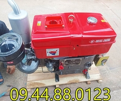 Đầu nổ Diesel Đông Phong D33 S1133M nước đề