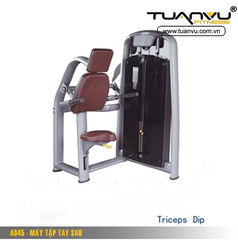 Máy tập tay sau A045