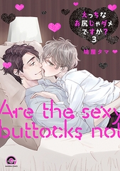Etchi nao shiri ja damedesu ka? (3 )