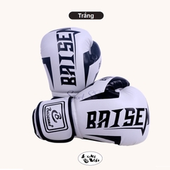 Găng tay Boxing - Võ thuật - Đấm bốc Baisenna - Phong Trào Nam - Nữ - Trẻ Em nhiều phiên bản