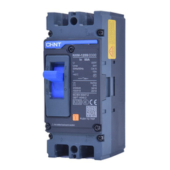 NXM 2P Cầu dao tự động dạng khối Chint 2 pha MCCB