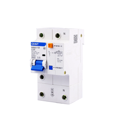 NXBLE-125 2P Cầu dao chống giật kết hợp bảo vệ quá tải Chint 10kA RCBO