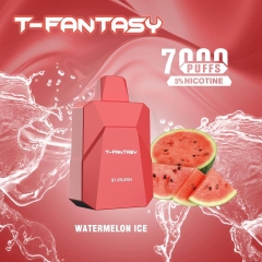 POD 1 LẦN T - FANTASY 7000 HƠI, POD 1 LẦN FANTASY CHÍNH HÃNG