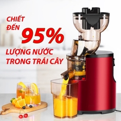 Máy ép chậm SAVTM JE-35