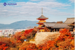 Du lịch Nhật Bản 2023| Osaka – Nara - Kyoto – Fuji Moutain – Oshino Hakkai – Tokyo