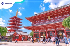 Du lịch Nhật Bản 2023| Tokyo – Núi Phú Sĩ – Kyoto - Osaka