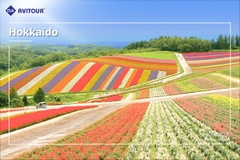 Du lịch Nhật Bản 2023| Khám Phá Hokkaido – Vùng Đất Vàng