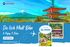 Du lịch Nhật Bản hè 2023| Hà Nội - Gifu - Làng cổ Shirakawa-go - Thưởng thức Bò Hida nổi tiếng - Đập nước Kurobe - Núi Phú Sĩ - Tắm Onsen - Yamanashi - Thủ đô Tokyo