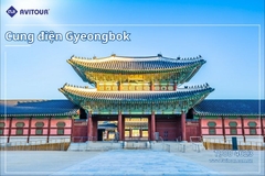 Chuyến đi Hàn Quốc mùa hè 2024: HÀ NỘI – SEOUL - JEJU-NAMI - EVERLAND