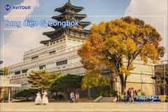 Đắm Chìm Sắc Thu Hàn Quốc: HÀ NỘI - SEOUL - NAMI – HÁI TÁO, HÁI LÊ - VƯỜN HOA – BUSAN – DU THUYỀN 5* – HÀ NỘI