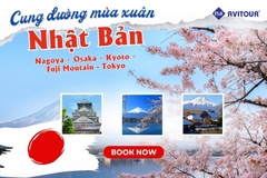 Du lịch Cung Đường Mùa Xuân 2024| Nagoya – Osaka – Kyoto – Fuji Moutain - Tokyo