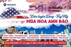 Du Lịch Đông Tây Hoa Kỳ 2024| Đón Mùa Hoa Anh Đào Đẹp Lộng Lẫy Tại Washington DC