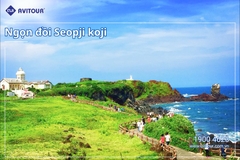 Du lịch trên đảo Jeju: Nơi tạo ra những bản tình ca đắm say