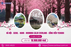 Khám phá Hàn Quốc mùa hoa anh đào 2024| Hà Nội - Seoul - Nami - Morning Calm Everland - Công Viên Yeouido