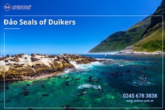 KHÁM PHÁ NAM PHI 2025: JOHANNESBURG - PRETORIA - GAME LODGE - CAPE TOWN