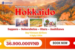 Du lịch Nhật Bản 2023| Khám Phá Hokkaido – Vùng Đất Vàng