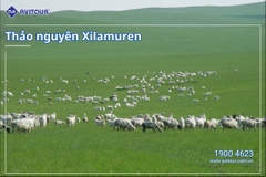 Thưởng ngoạn vẻ đẹp kì vĩ của Nội Mông Cổ | HÀ NỘI – ORDOS – SA MẠC VỌNG ÂM – THẢO NGUYÊN XILAMUREN