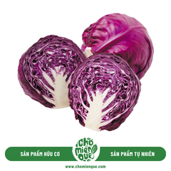 Bắp Cải Tím hữu cơ - Kg