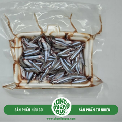 Cá Cơm côn đảo - Kg