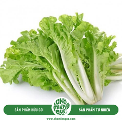 Cải Bẹ Dún hữu cơ - Kg