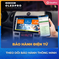 OLEDPRO Premium 12.3 inch 2022