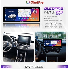 OLEDPRO Premium 12.3 inch 2022