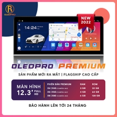 OLEDPRO Premium 12.3 inch 2022